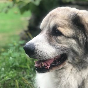 Meet your Posher, Carrie